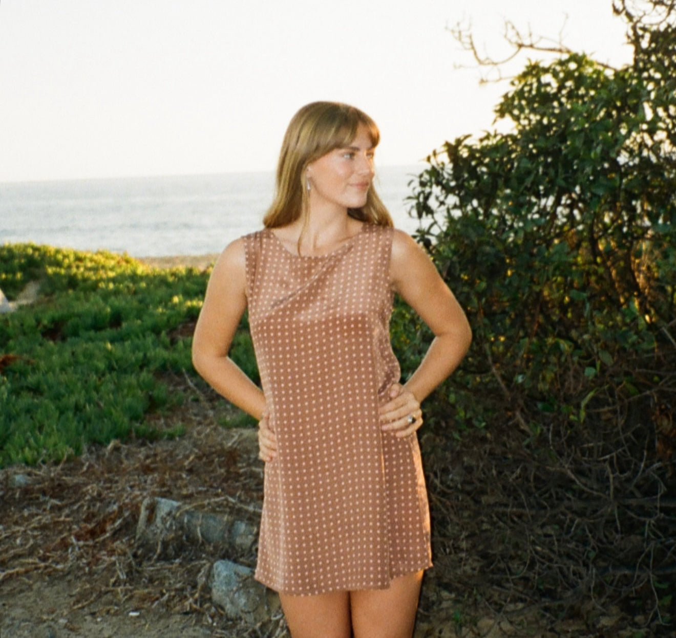 Birkin Dress in Mocha Silk Polka Dot